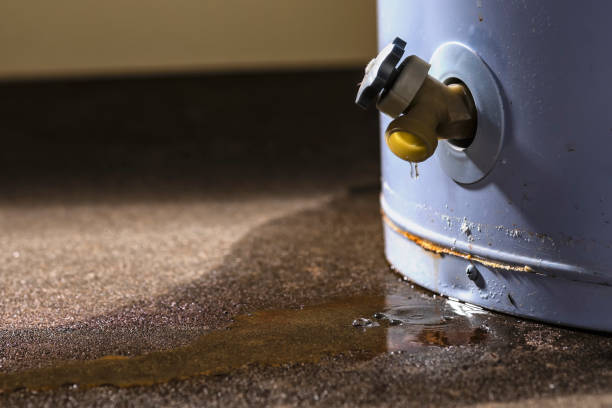 Best Water damage contractors near me  in Hesston, KS