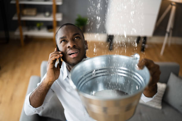 Best Ceiling water damage repair  in Hesston, KS