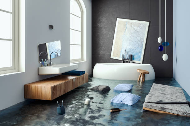 Best Mold removal after water damage  in Hesston, KS
