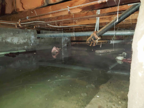 Best 24/7 water damage repair  in Hesston, KS