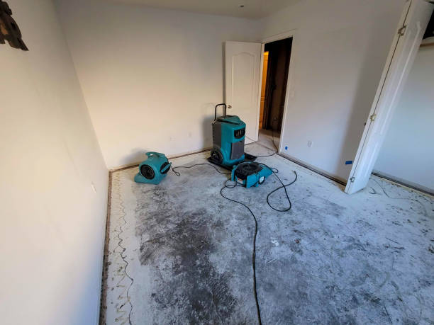 Best Water damage restoration near me  in Hesston, KS