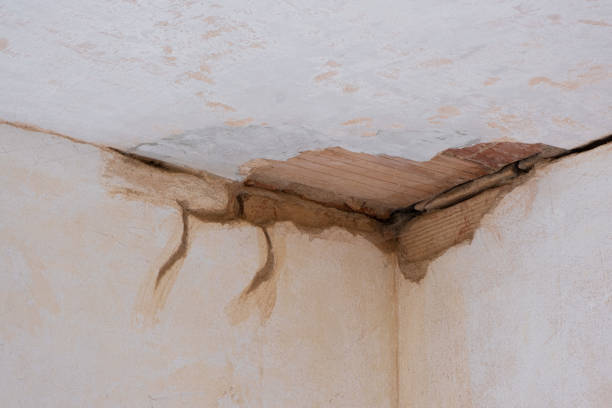 Best Professional water damage repair  in Hesston, KS