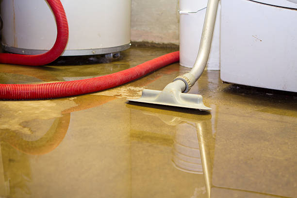 Best Basement water damage restoration  in Hesston, KS