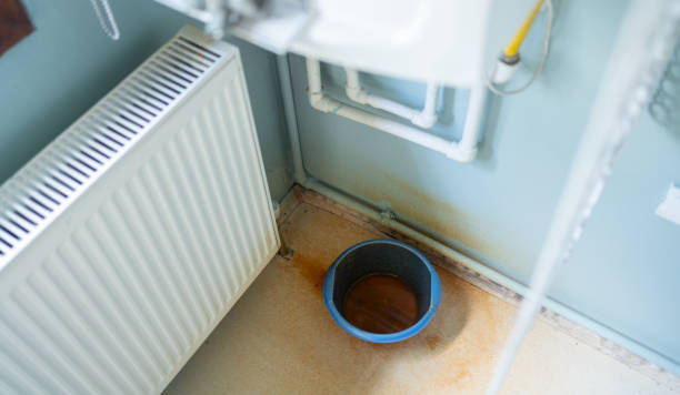 Best Water damage cleanup near me  in Hesston, KS