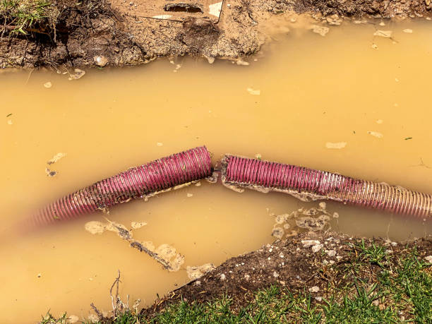 Best Water damage restoration near me  in Hesston, KS