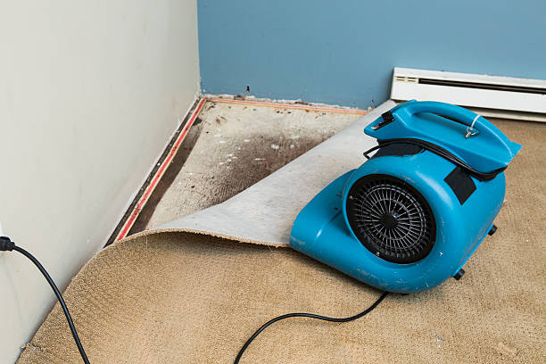 Best Sewage cleanup and water damage restoration  in Hesston, KS